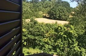 La Terrazza delle Noci - alloggio agrituristico - Foto 13