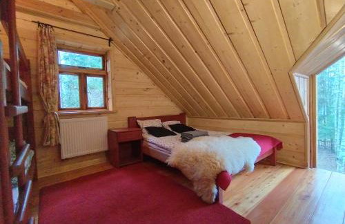 Dom Suwalszczyzna - Photo 31