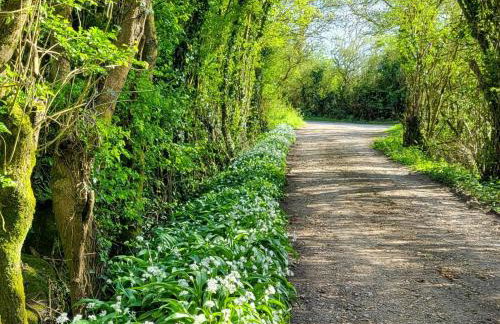 1 Bed in Newport oc-94188 - Foto 27