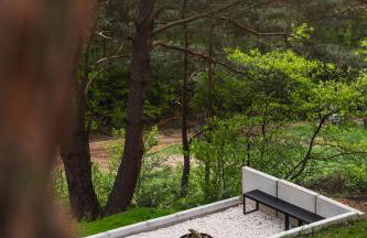 Leśny Duet - Foto 26