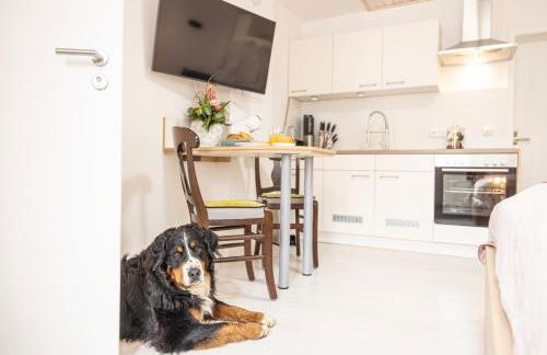 Apartment Wasenberg - Foto 5