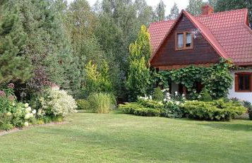 Siedlisko Gruszki Puszcza Białowieska - Foto 45