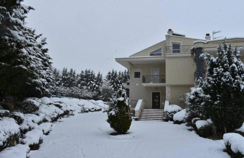 KTHMA TZHKA - Villa Elassona - Photo 42