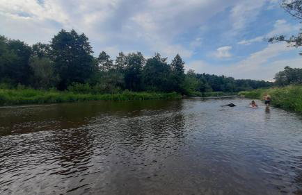 Pasieka Dobro i Smak - Foto 22