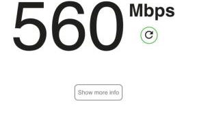 Palm Haven - Foto 61