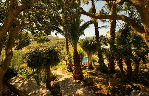 Finca Dariana Padel & Pool - Foto 49