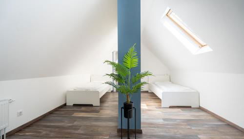 XXL Superior Apartment 1 - 1 bis 10 Personen - Foto 4