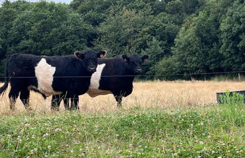 La petite maison dans la prairie - Photo 9