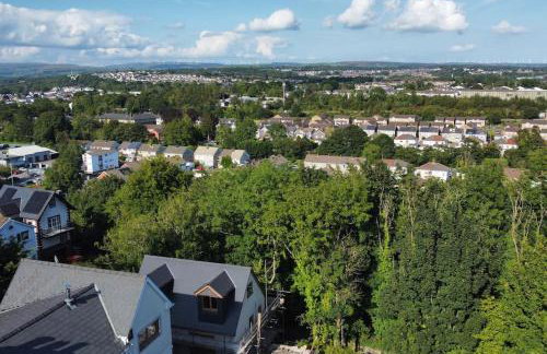 Cartref, 1860s family home. - Foto 17