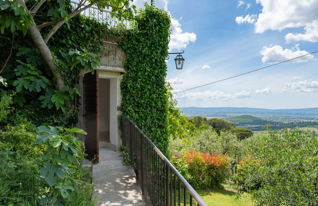 La Felcaia - Foto 35