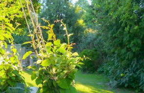 Biburg86420 - Foto 23