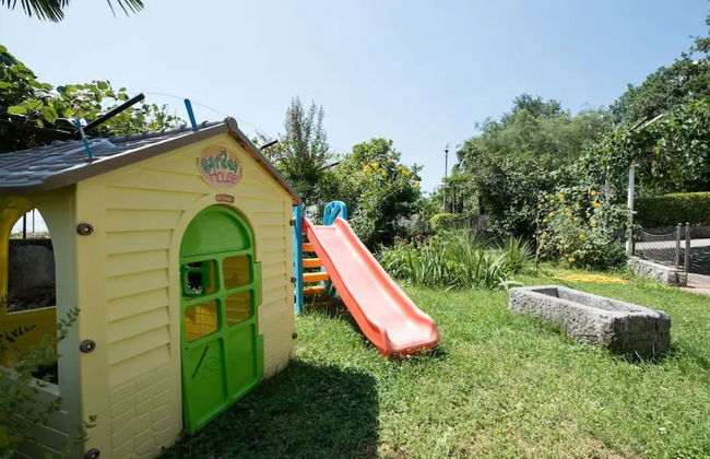 Green Garden Oasis - Photo 26