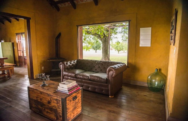 Finca Las Cavas - Photo 5