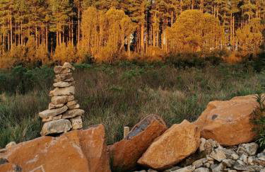 Sítio Passo do Carro - Foto 43