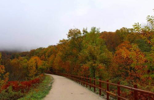 AT Rural NAVALINDA - Foto 32