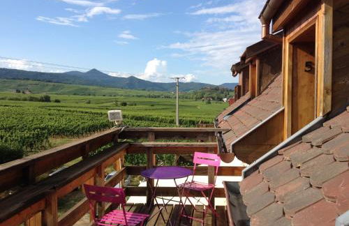 gîtes au domaine Greiner - Foto 43