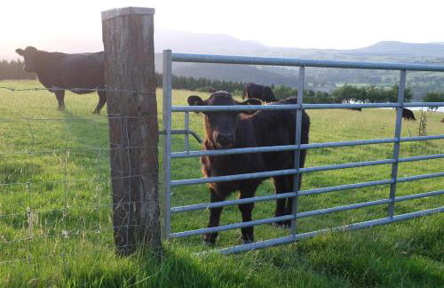 4 Bed in Llangower oc-f31072 - Foto 32