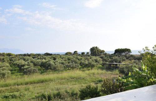 Ktima Βilioni - Foto 44