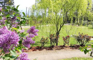 Koti Mountain House - Photo 8