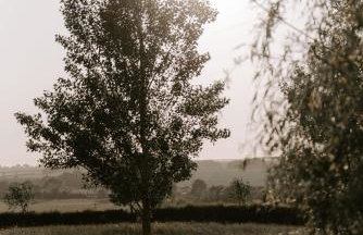 Eastfields Farm Barns - Foto 32