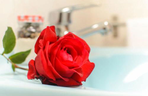 Casa Angeles 2 - Foto 19