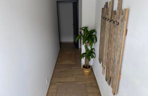 Appartement spacieux climatisé avec terrasse - Foto 17