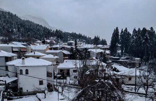 Elation Woodhouse - Foto 29