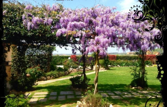 Agrisalotto - Foto 40