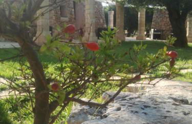 Tenuta Serre - Foto 19