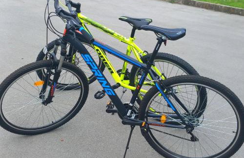 Apartmani i Sobe Kočiš - Foto 12