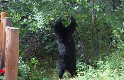 3137 Arrowhead - Foto 4