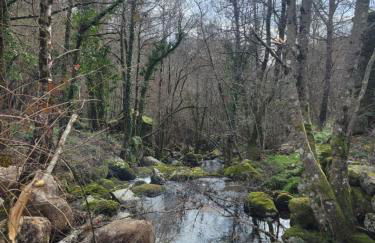 Quarto da eira - Photo 11