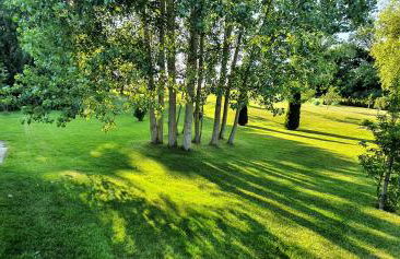 Fewo Traum - Foto 48