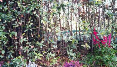 My Tuscany Suites - Foto 3, Garden