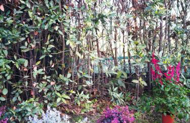 My Tuscany Suites - Foto 3