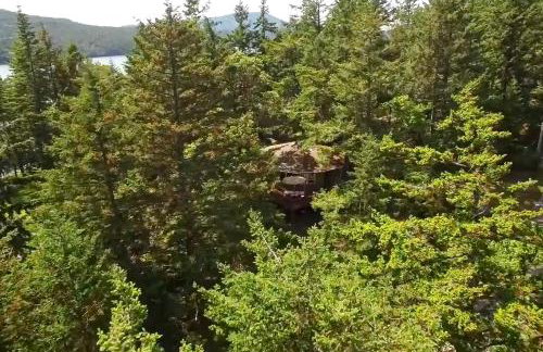 The Island Treehouse - Foto 5
