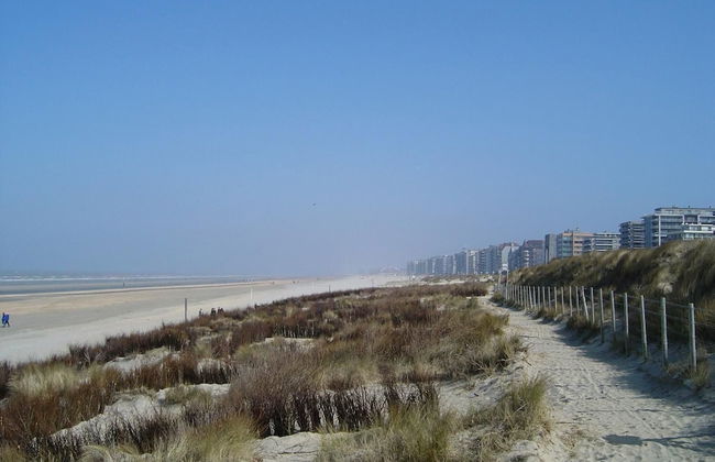 App De Panne - Foto 19