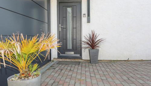 Bywyd Da 232 Cae Du - Foto 3