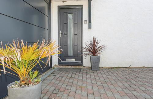 Bywyd Da 232 Cae Du - Foto 3