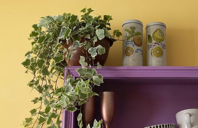 Eclectic1BR in Talpiot mkt by Sea N Rent - Foto 14