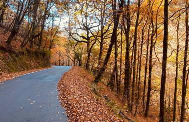 Hotel AV Apartamentos Lobios - Foto 56