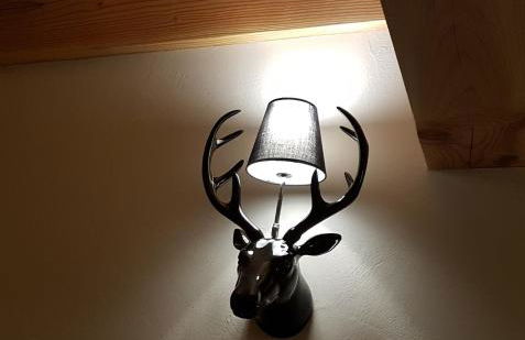 Chalet Arpitan - les Carroz - Grand Massif - Foto 47