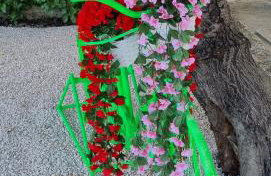 Holiday home "Olive tree", with pool - Best Host 2025 - Foto 9