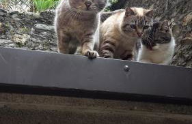 Appartamenti Raineri - Foto 41