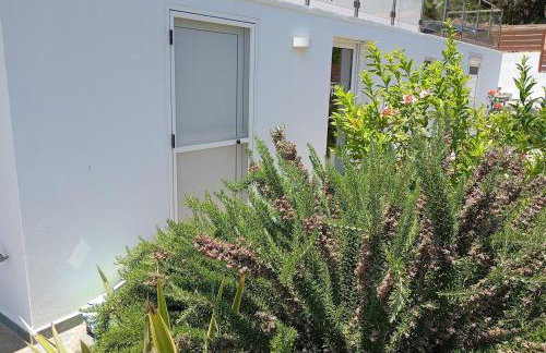 Anemelia & Helios Studio - Foto 14