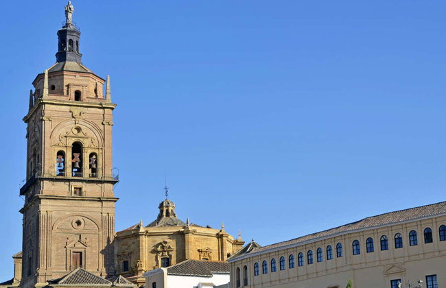 Entrada a la Catedral de Guadix de Granada - Foto 3