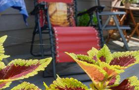 Tinyhaus Wolkenlos Familie Hamdorf - Photo 61