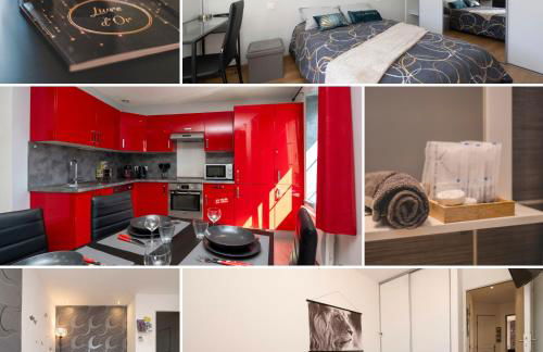 Le Tassigny 3 étoiles - Hyper-Centre Balneo Wifi Parking - Foto 3