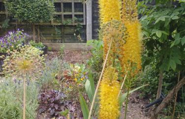 Offa Hideaway - Foto 3