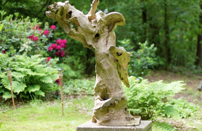 Cozy Countryside Escape in Dalfsen - Photo 20